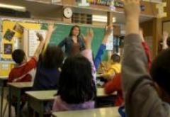 Individual Consulting